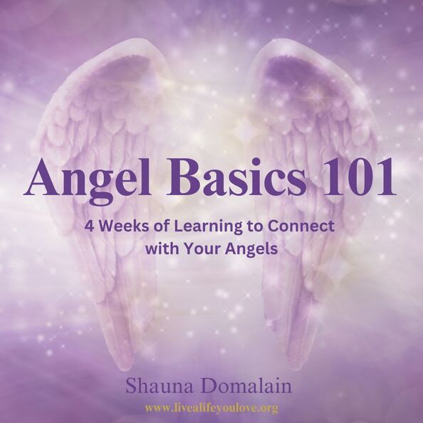 Angel Basics Online Class Shauna Domalain