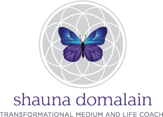 Shaun domalain logo